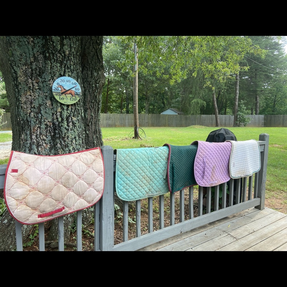 saddle pads